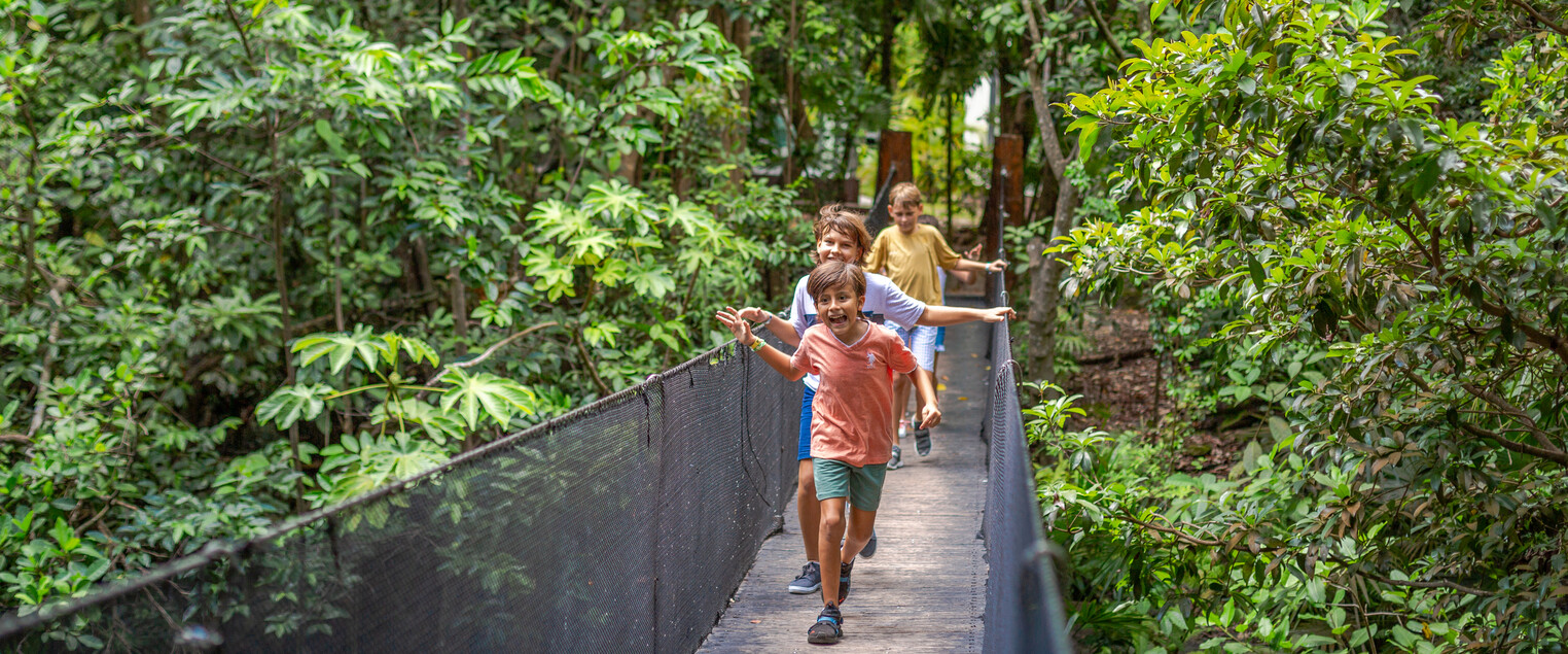 Counter_Sandos Caracol_221025