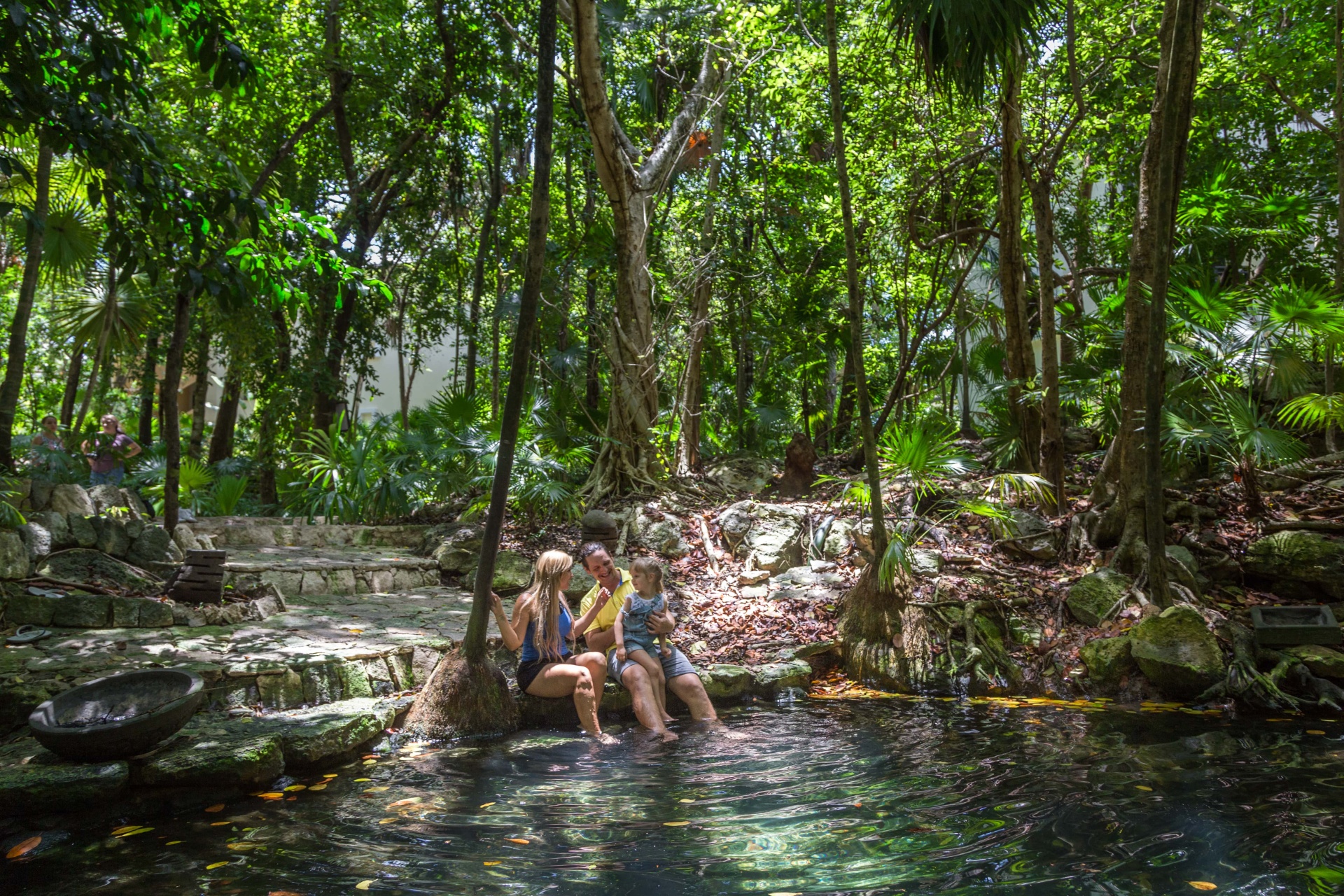 cenote caracol all nature